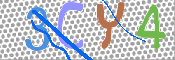 キャプチャ画像