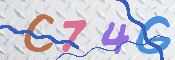 キャプチャ画像