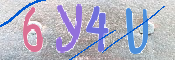 キャプチャ画像